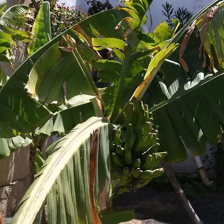 3c Fuerteventura Holiday home
